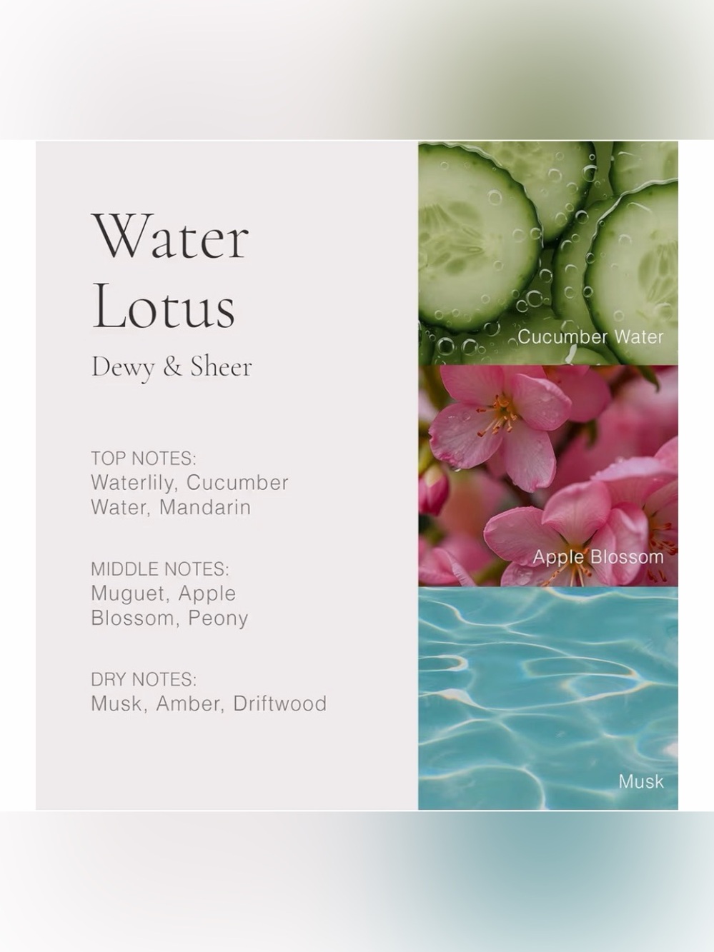 CLEAN Reserve H2EAU Collection Women's Fragrance Sampler - Aqua - Picture 3 of 12